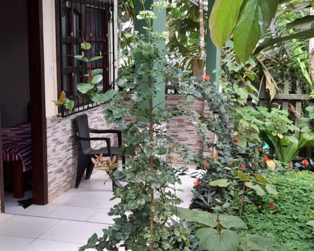 Wikungo Hotel Puerto Nariño Exteriör bild
