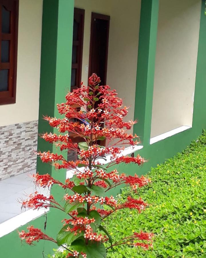 Wikungo Hotel Puerto Nariño Exteriör bild