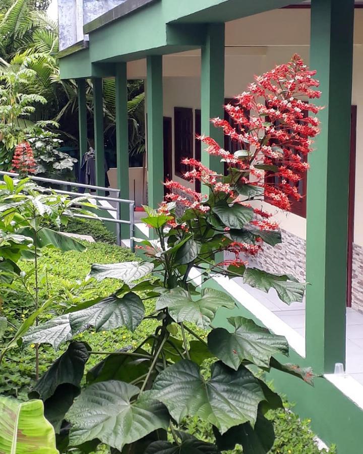 Wikungo Hotel Puerto Nariño Exteriör bild